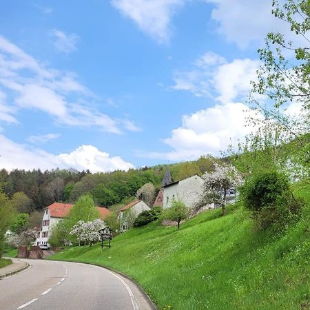 Family House Eberbach (Rhein-Neckar-Kreis) Exterior foto