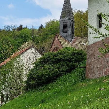 Family House Eberbach (Rhein-Neckar-Kreis) Exterior foto