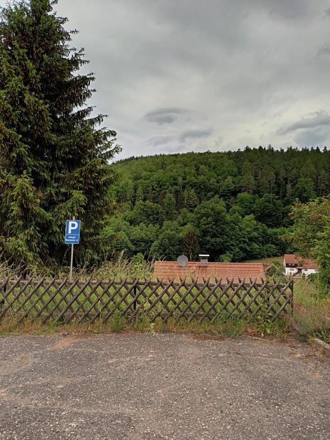 Family House Eberbach (Rhein-Neckar-Kreis) Exterior foto