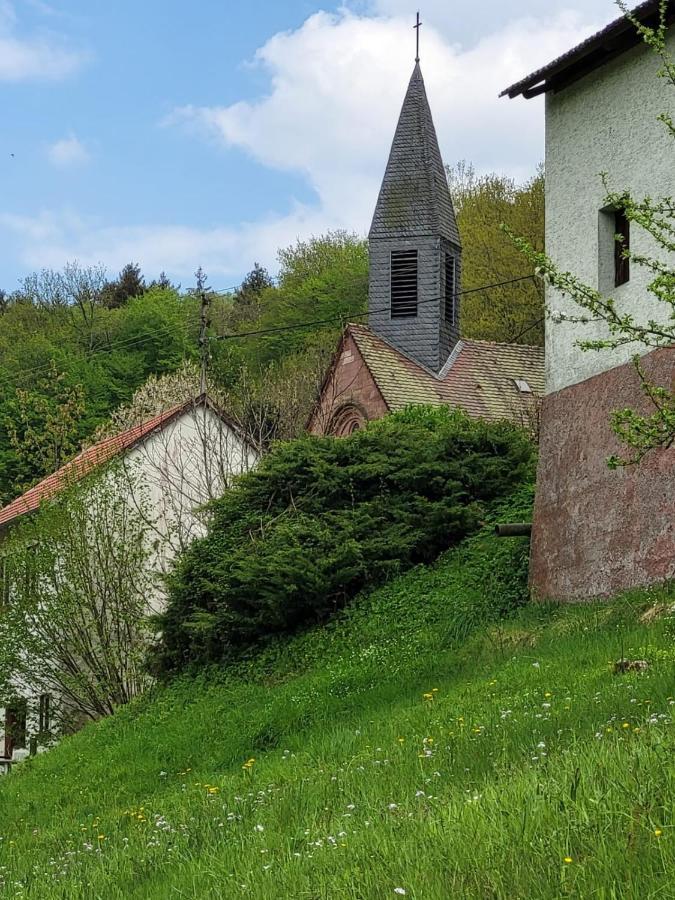 Family House Eberbach (Rhein-Neckar-Kreis) Exterior foto